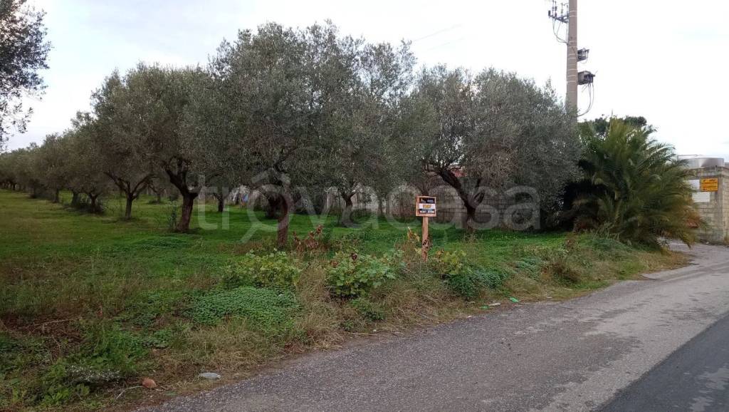 immagine annuncio 11 di 14