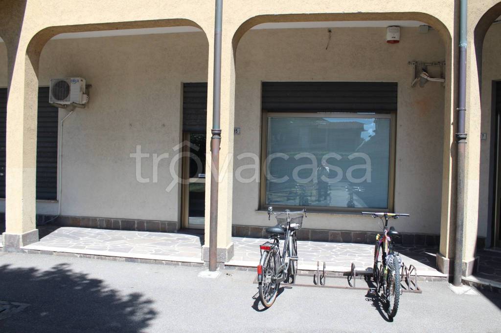 immagine annuncio 12 di 14