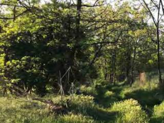 Terreno agricolo all'asta a castenedolo via del boscone