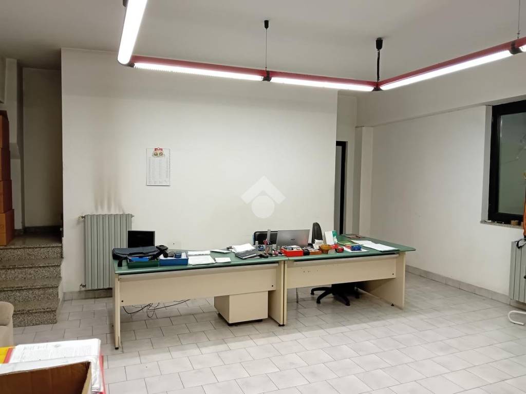 immagine annuncio 9 di 13