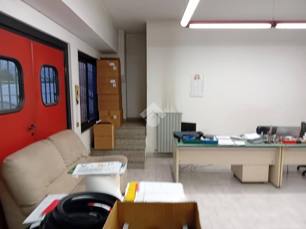 immagine annuncio 10 di 13