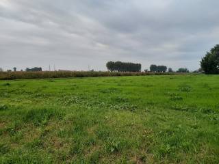 Terreno agricolo in vendita a casalmaggiore 