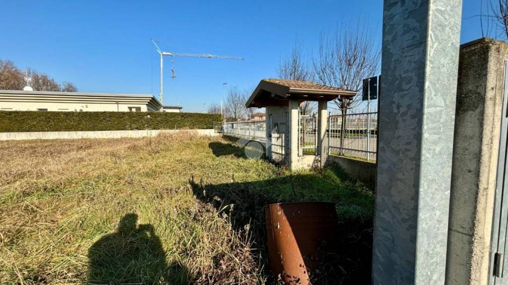 immagine annuncio 6 di 12
