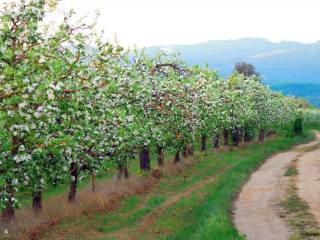 Terreno agricolo in vendita a naturno tabland