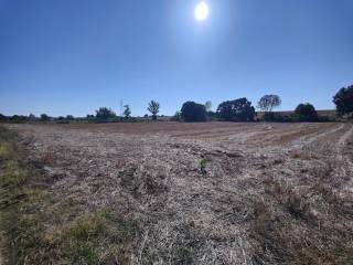 Terreno agricolo in vendita a cerveteri via dei biscini