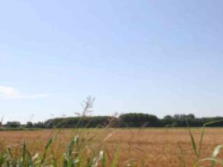 Terreno agricolo all'asta a cava manara via villa glori