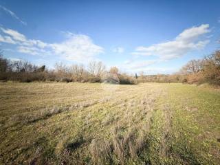 Terreno agricolo in vendita a nepi via di vigne nuove, 10