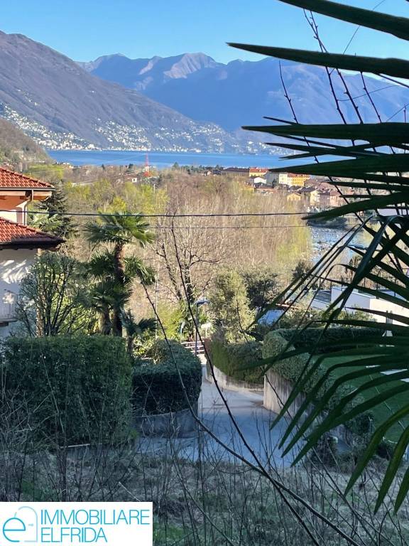 immagine annuncio 4 di 14