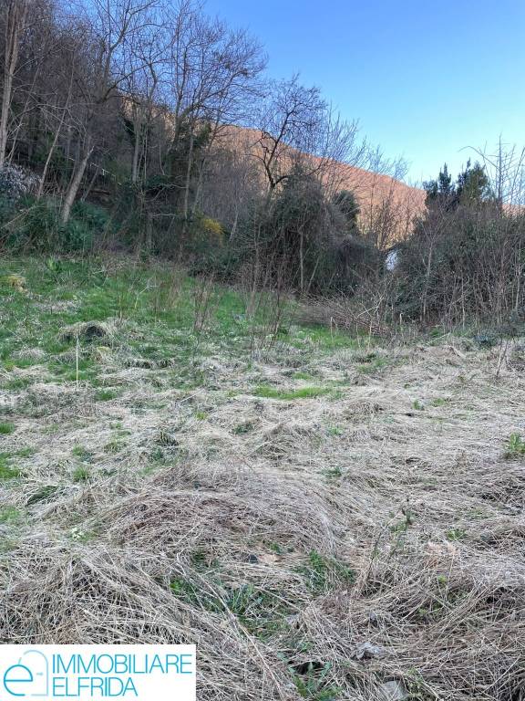 immagine annuncio 11 di 14