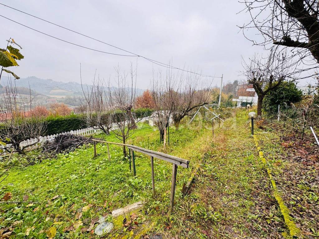 immagine annuncio 11 di 13