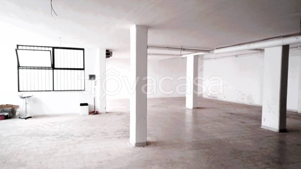 immagine annuncio 3 di 6