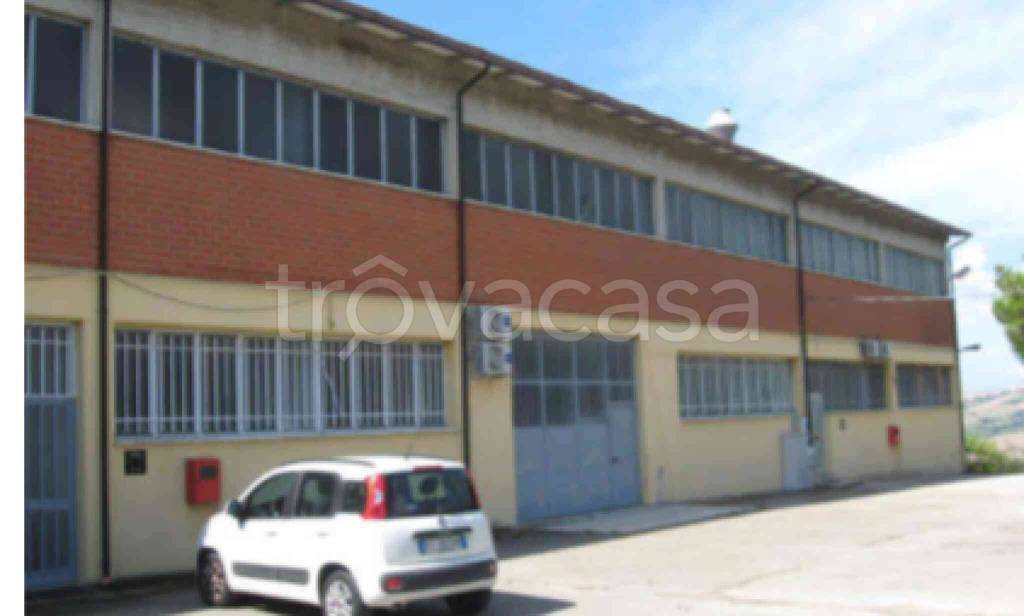 immagine annuncio 4 di 10