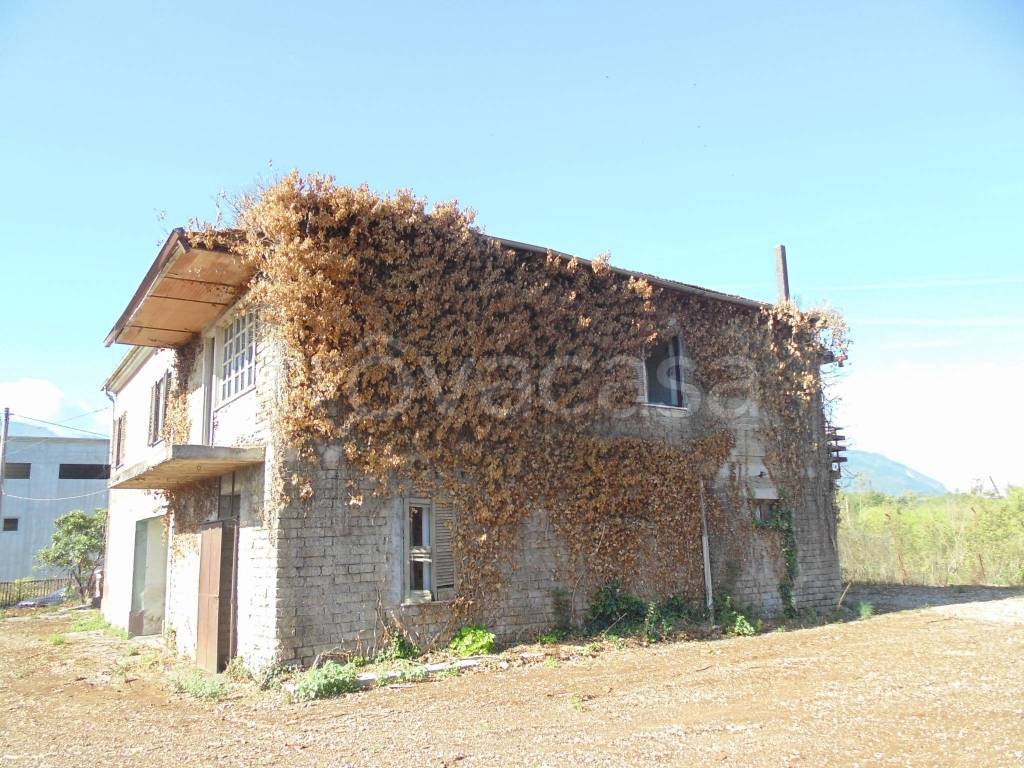 immagine annuncio 9 di 11