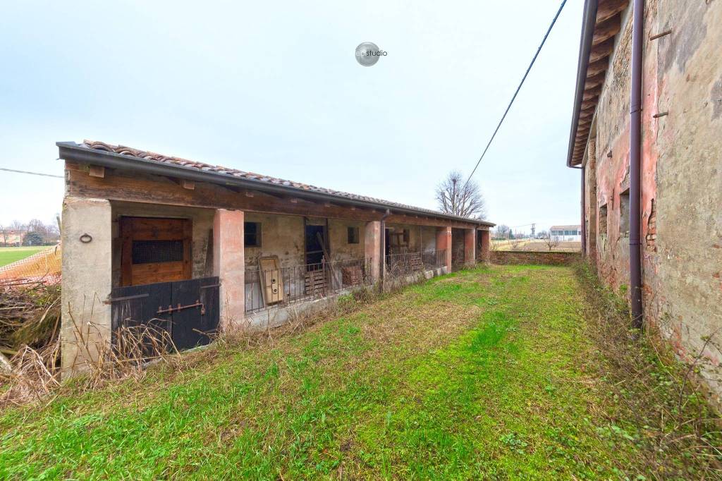 immagine annuncio 9 di 12