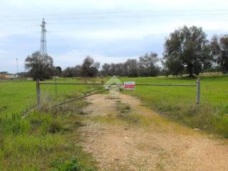 Terreno agricolo in vendita a carovigno contrada belvedere