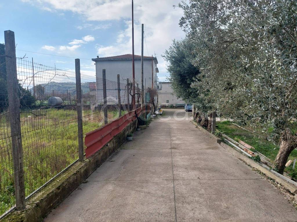 immagine annuncio 4 di 8