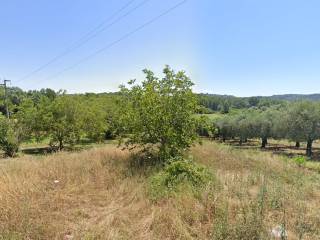 Terreno agricolo in vendita a spigno saturnia via capodacqua, 71