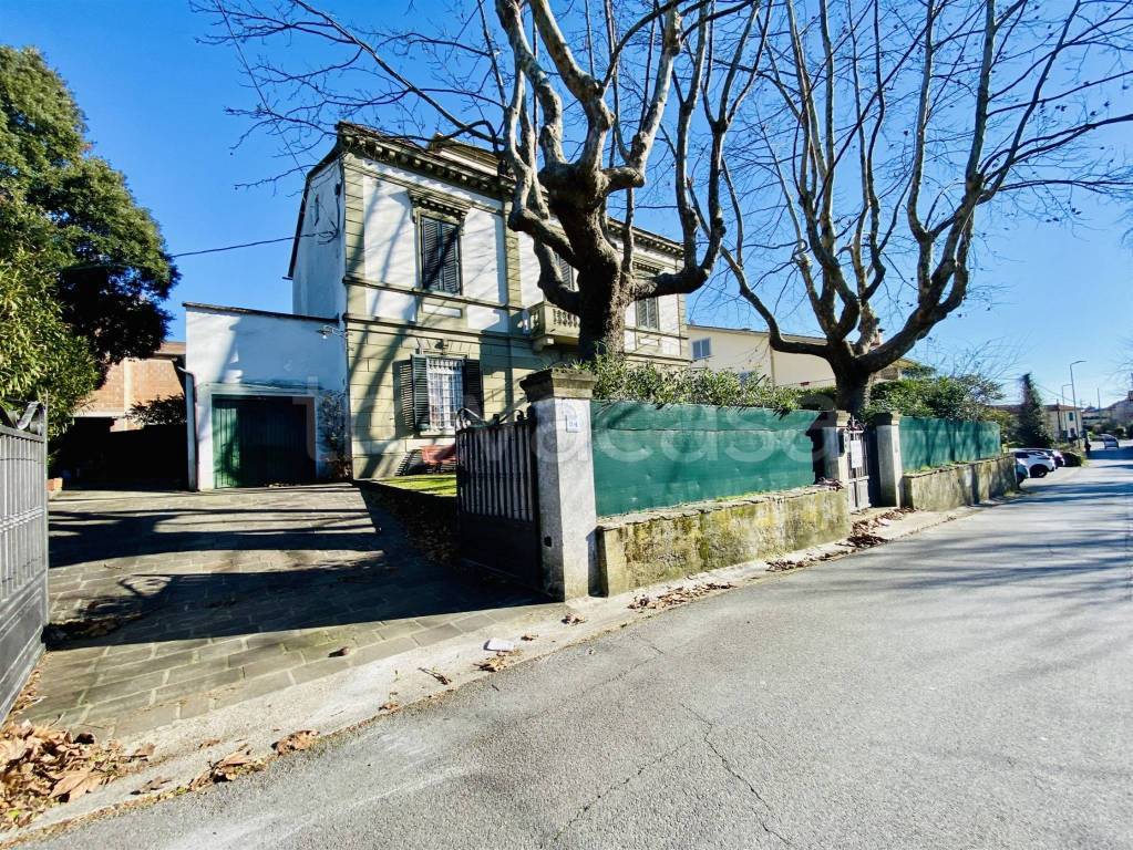 immagine annuncio 4 di 15