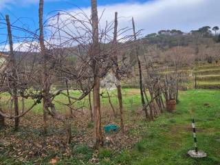 Terreno commerciale in affitto a san colombano certenoli via domenico cuneo