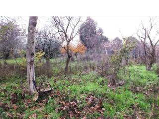 Terreno agricolo in vendita a somma vesuviana via circonvallazione, 156