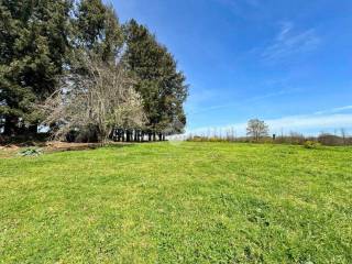 Terreno agricolo in vendita a manziana via della caldara, 1