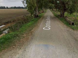 Terreno agricolo all'asta a bernalda contrada mercuragno