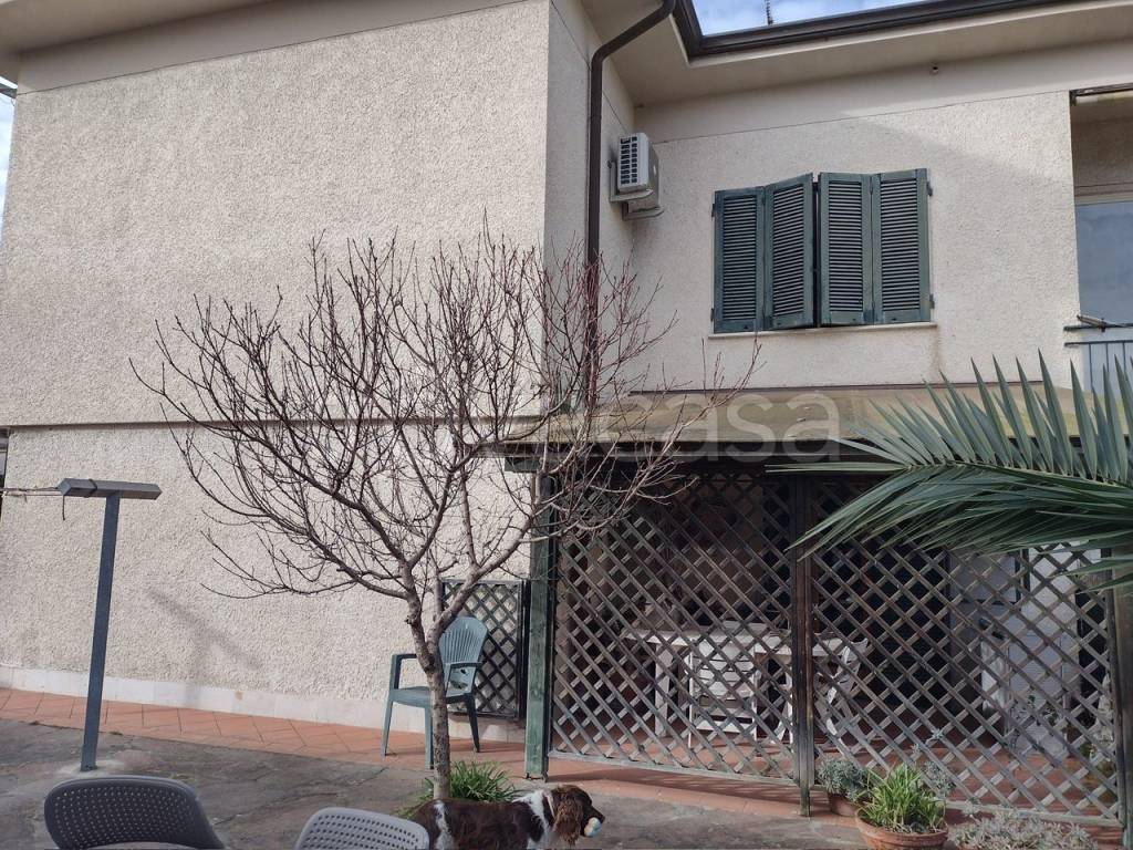 immagine annuncio 11 di 13