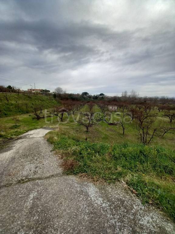 immagine annuncio 6 di 7