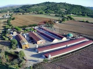 Azienda agricola in vendita a magione via marinaccia, 8