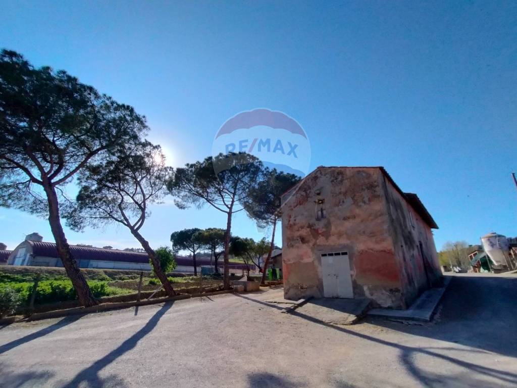 immagine annuncio 8 di 9