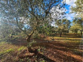 Terreno residenziale in vendita a carovigno 