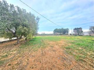 Terreno residenziale in vendita a carovigno 