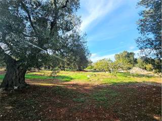 Terreno residenziale in vendita a carovigno 