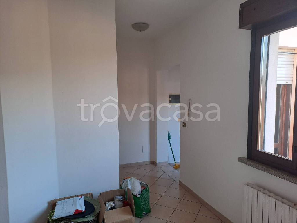 immagine annuncio 2 di 14
