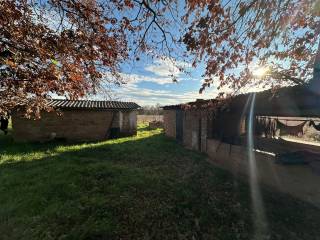 Terreno agricolo in vendita a nepi via del cerro , snc