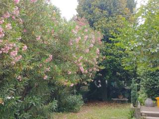 Villa bifamiliare in in vendita da privato a pordenone via guglielmo oberdan, 13a