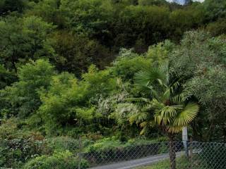 Terreno agricolo all'asta a menaggio 22017 menaggio co, italia