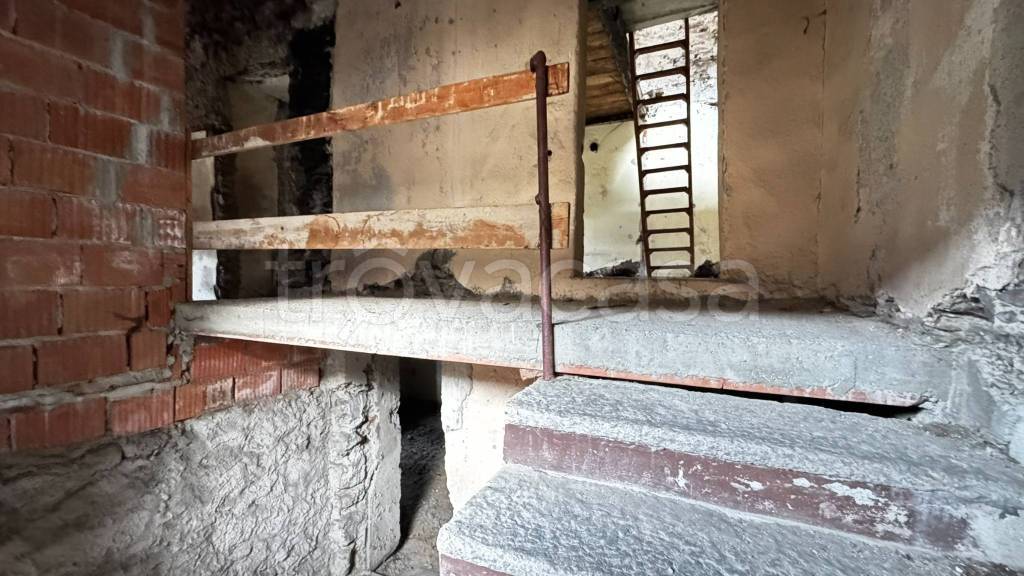 immagine annuncio 3 di 14
