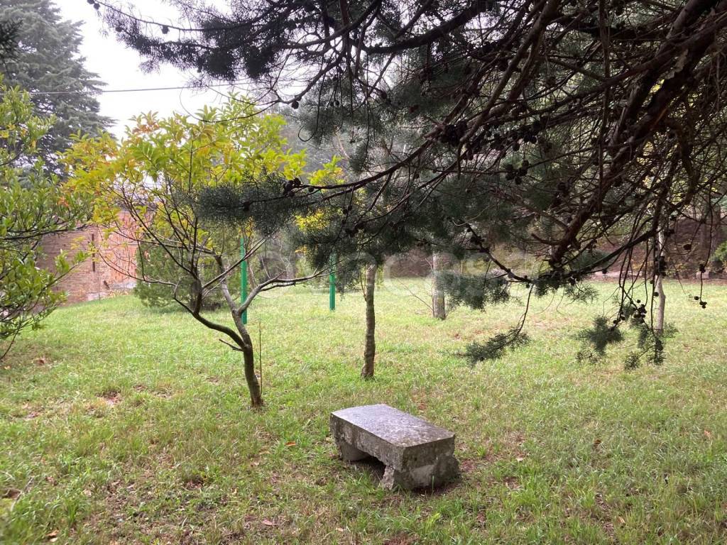 immagine annuncio 6 di 9