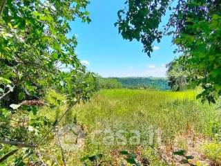 Terreno residenziale in vendita a noto strada statale di noto