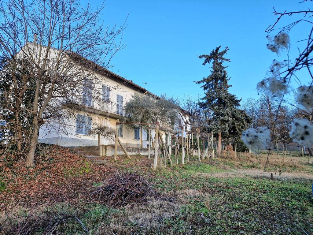 immagine annuncio 2 di 15
