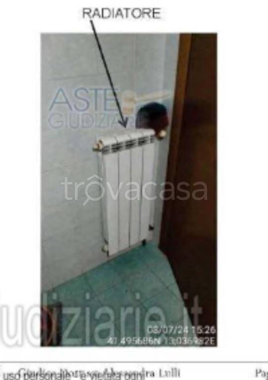 immagine annuncio 5 di 13