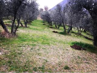 Terreno agricolo in vendita a scandriglia strada della pescaretta