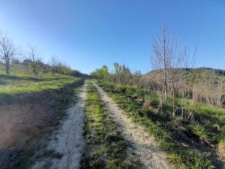 Terreno agricolo in vendita a montefino sp34a