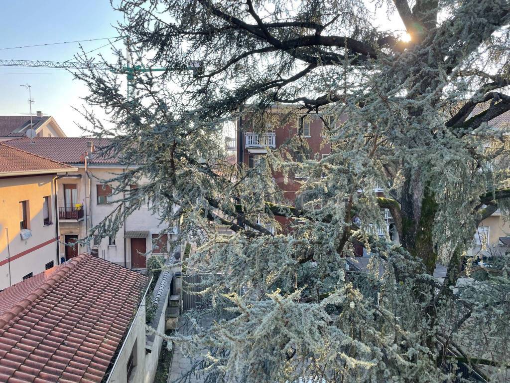 immagine annuncio 2 di 12
