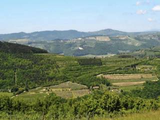 Terreno agricolo all'asta a tregnago tregnago