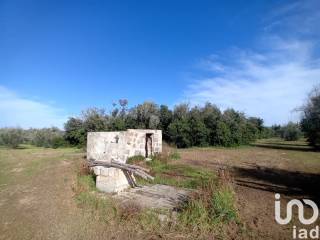 Terreno agricolo in vendita a ortelle via vecchia ortelle-vignacastrisi