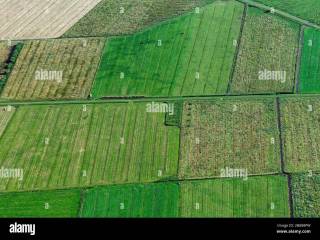 Terreno agricolo in vendita a padova via san giacomo