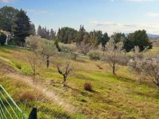 Terreno residenziale all'asta a montefalco via edmondo de amicis