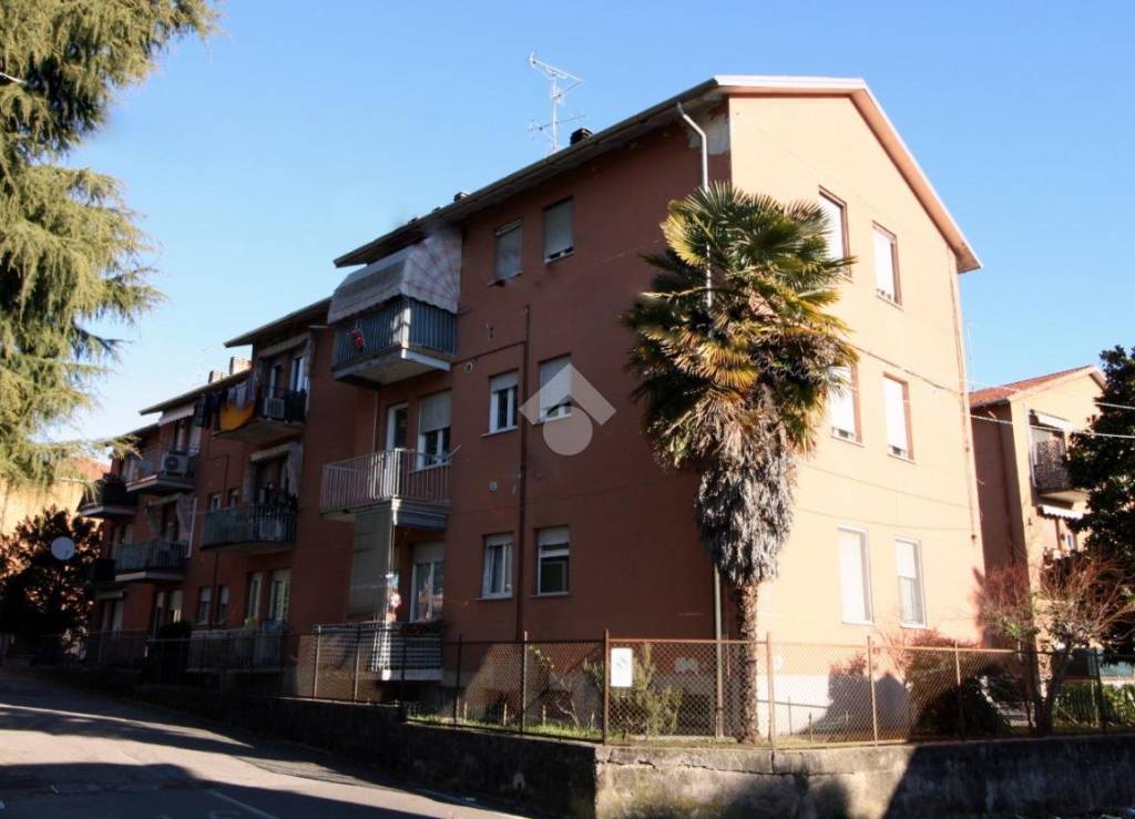 immagine annuncio 1 di 14